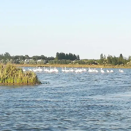 Toscana Apartamento Ravena