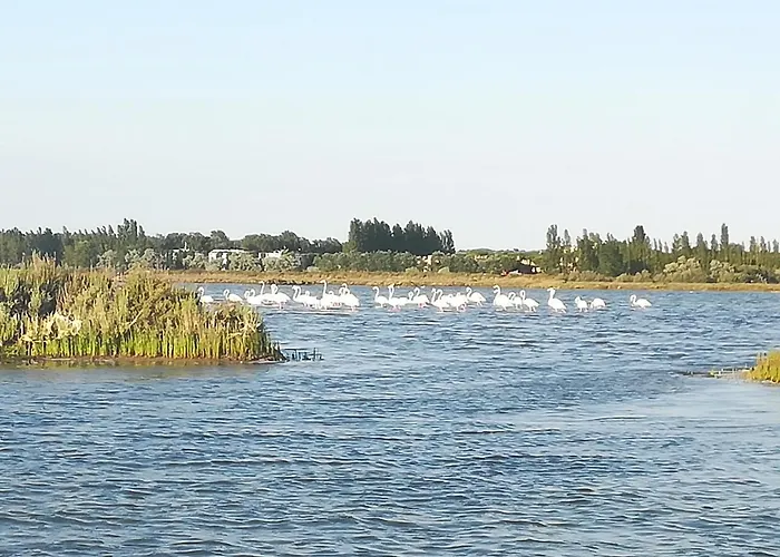 Toscana 아파트 라벤나